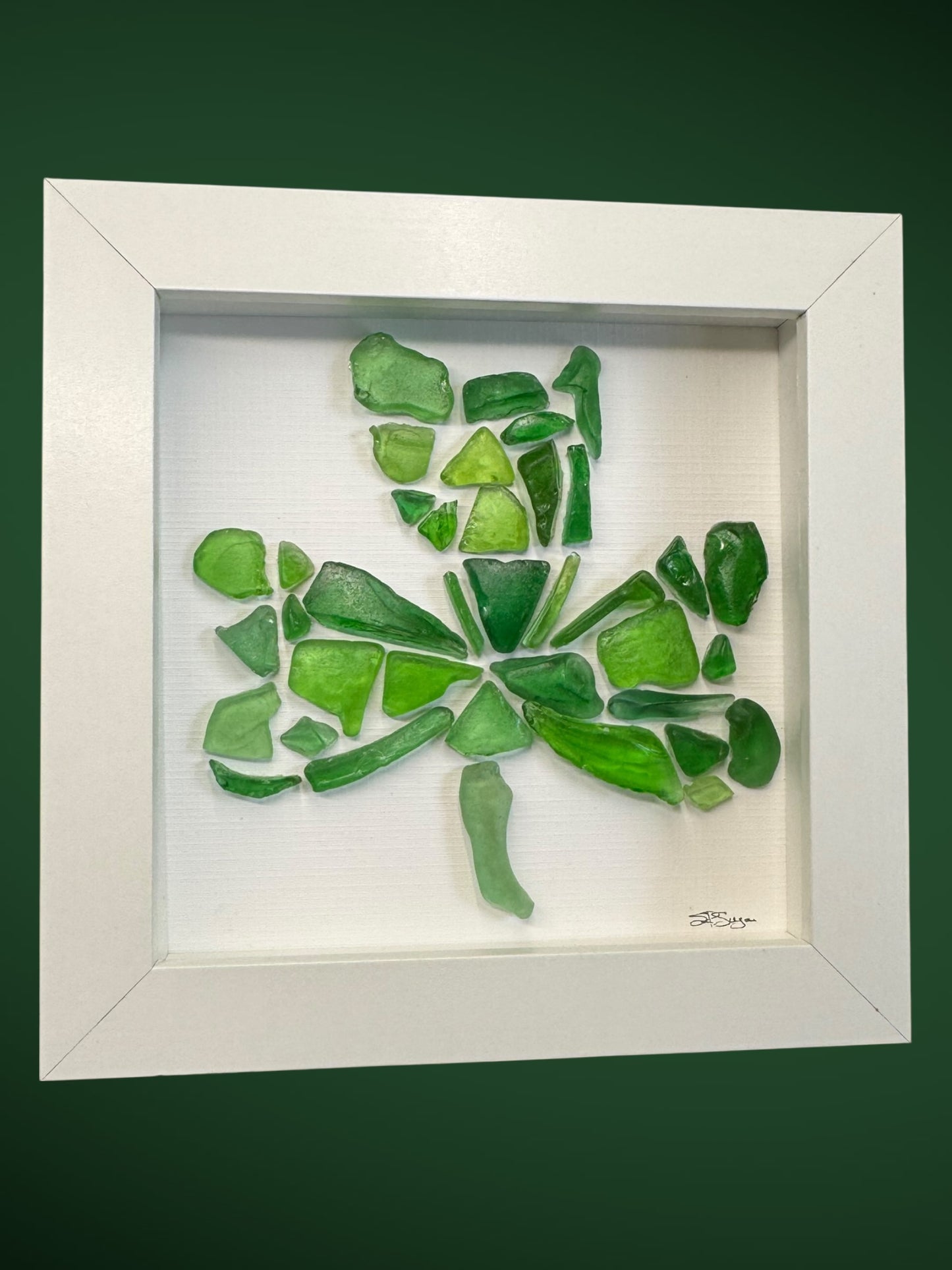 Shamrock of Champlain