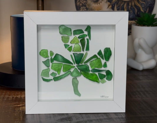 Shamrock of Champlain