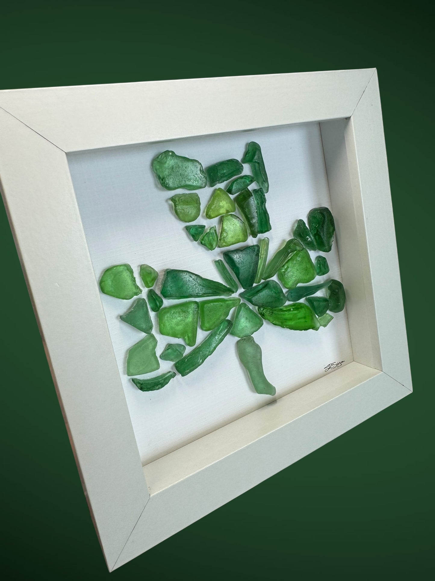 Shamrock of Champlain