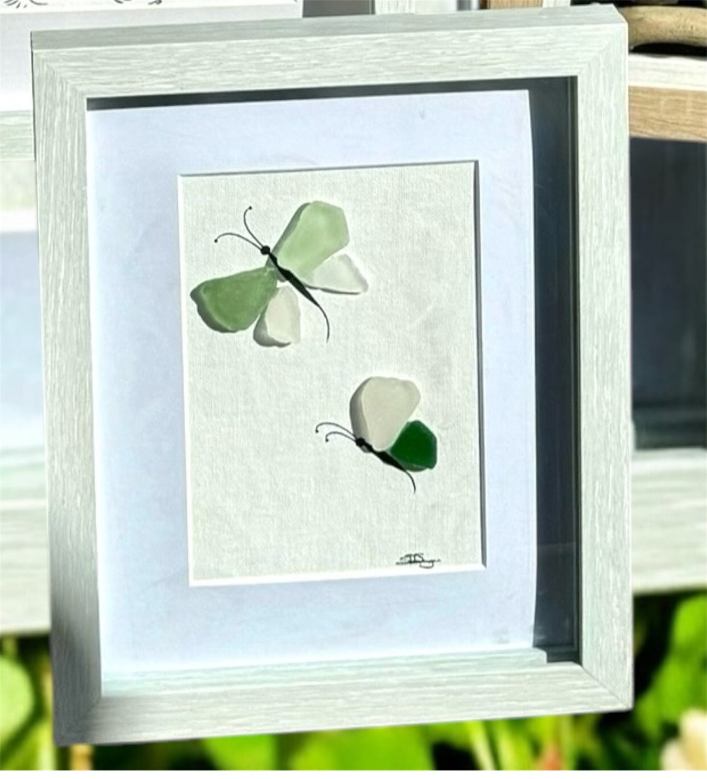 Butterflies