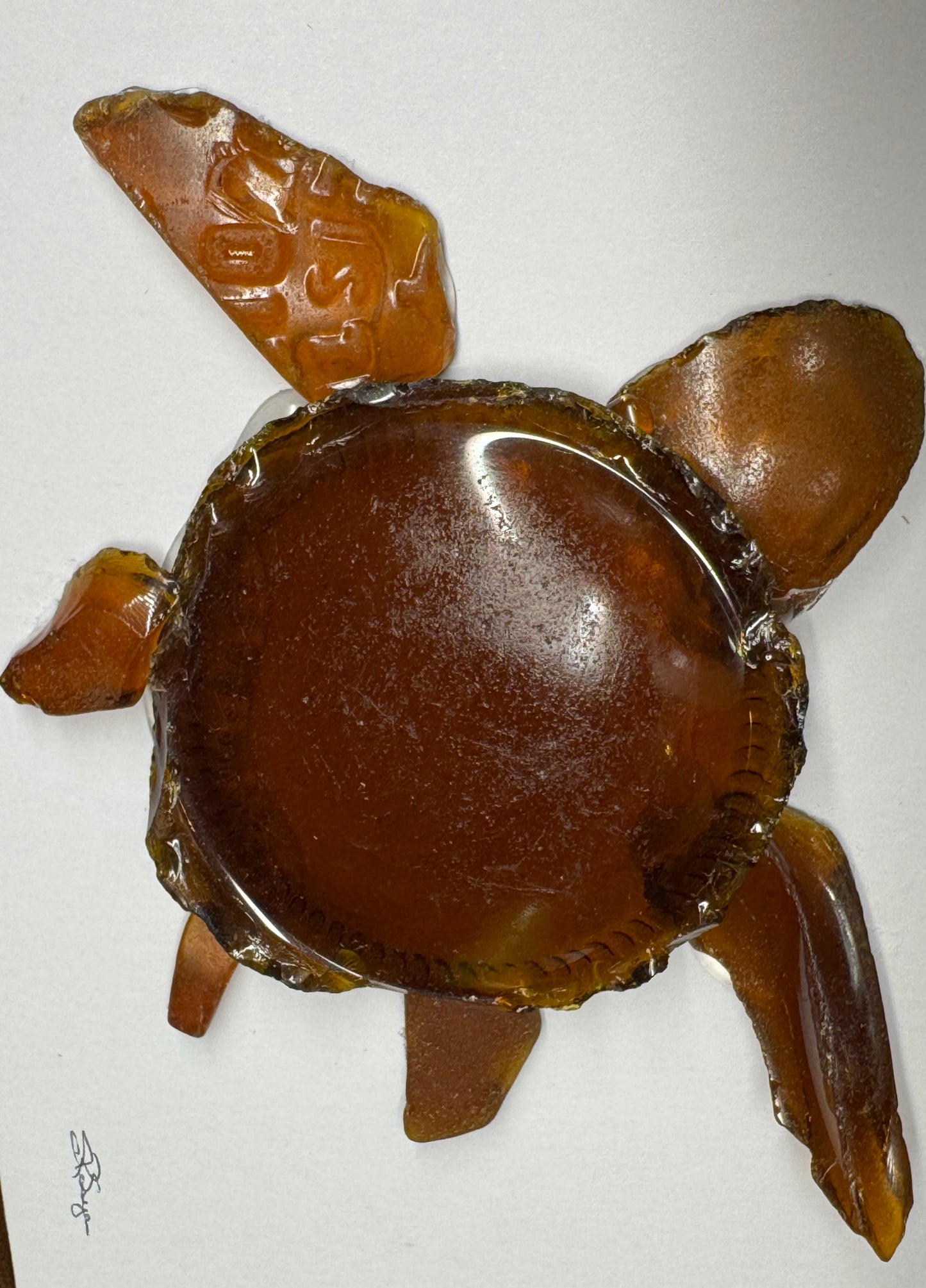 Brown Sea Turtle 5x7