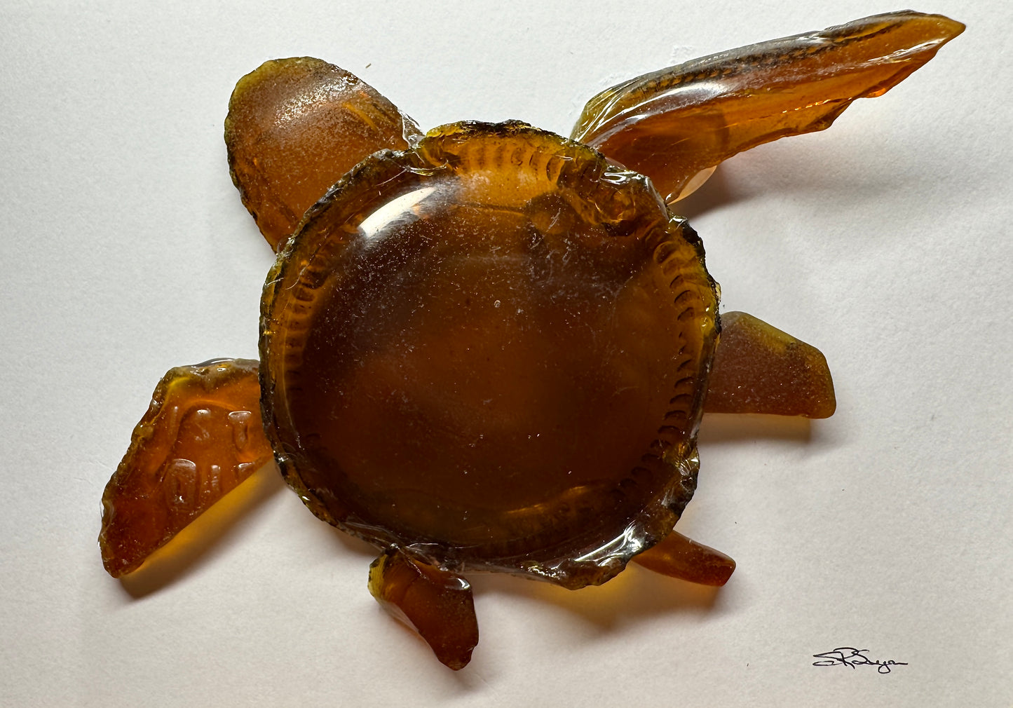 Brown Sea Turtle 5x7