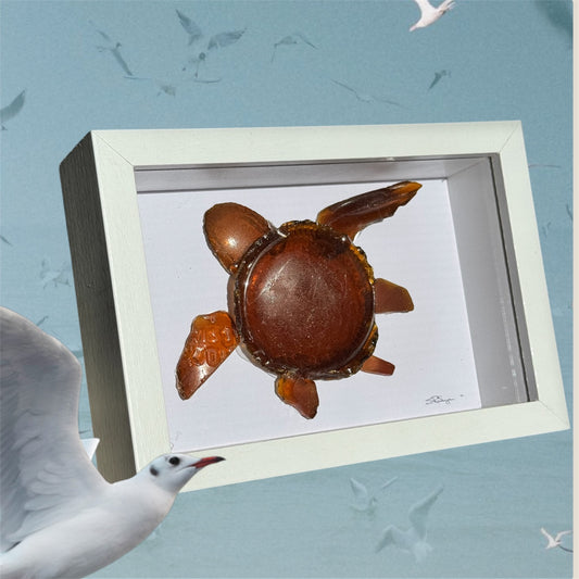 Brown Sea Turtle 5x7